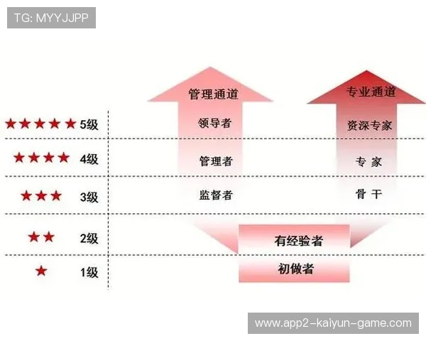裁判员职业晋升通道明确激发更多优秀人才加入执法行列，裁判员职业的简单介绍